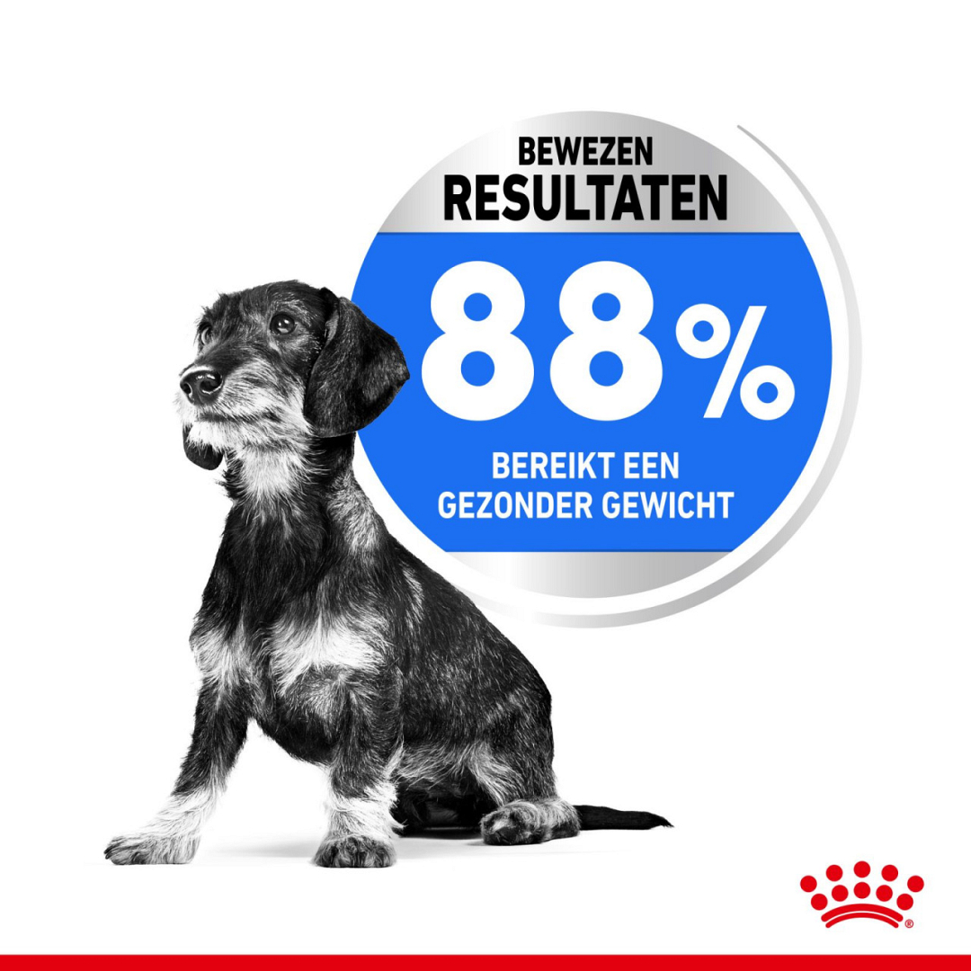 schapen Fondsen Aan boord Royal Canin hondenvoer Light Weight Care Mini 3 kg | De Boer Dier & Ruiter