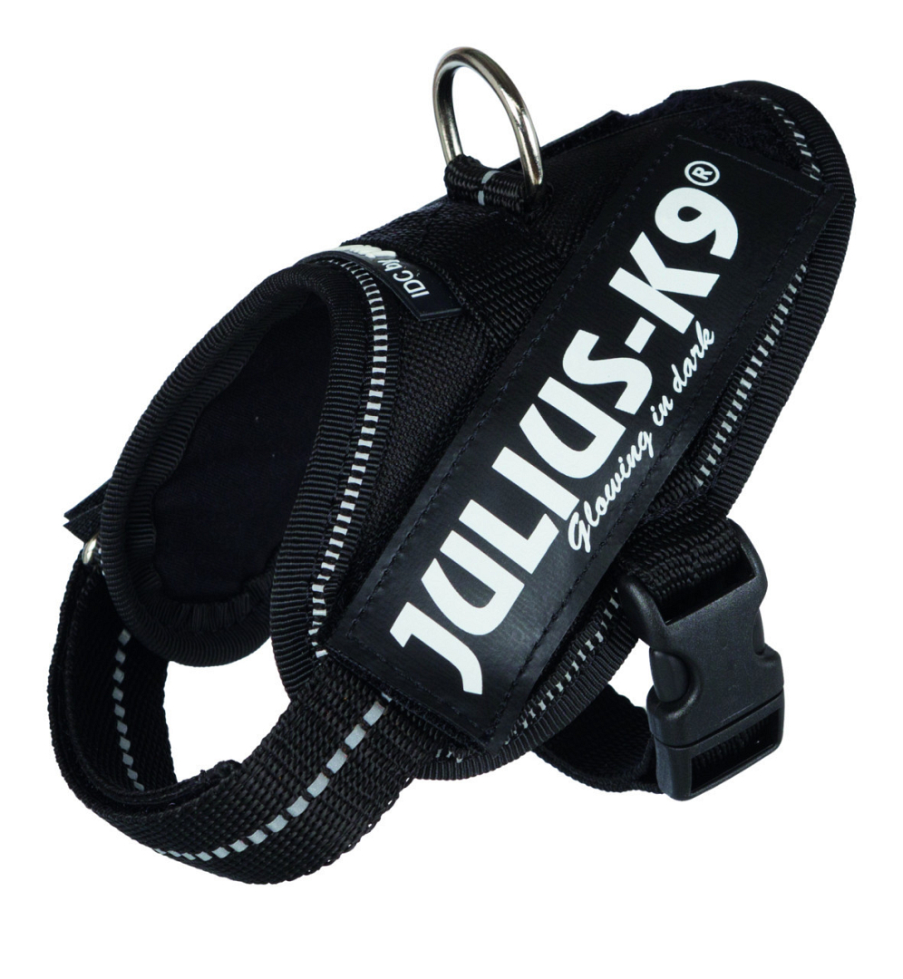 Spuug uit zich zorgen maken Meerdere Julius K9 IDC harness black | De Boer Dier & Ruiter