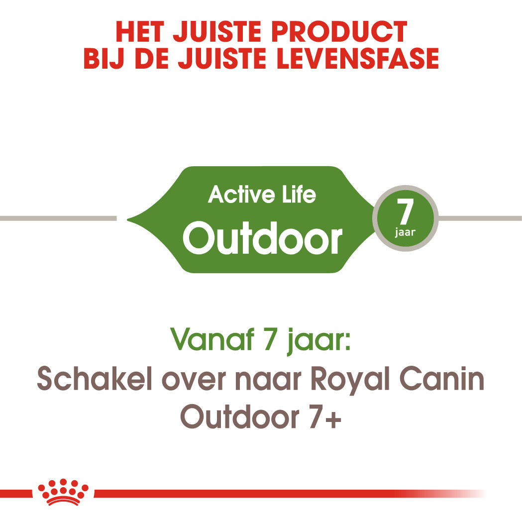 Kast eenheid steno Royal Canin kattenvoer Outdoor 10 kg | De Boer Dier & Ruiter