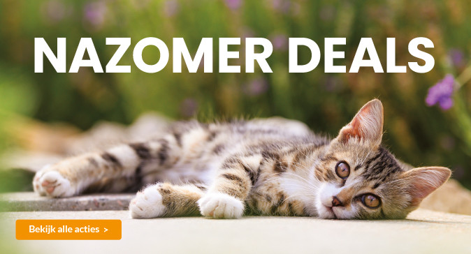 slider nazomer 2025 674x364