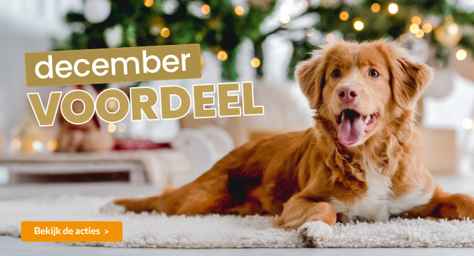 slider december 2025 674x364