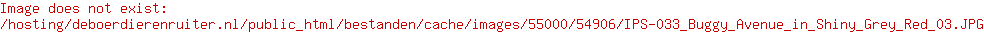 Innopet buggy Avenue shiny grey/red