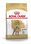 Royal Canin hondenvoer Poodle Adult 1,5 kg