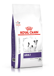 Royal Canin Small Adult 8 kg