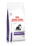 Royal Canin Large Neutered Junior 12 kg