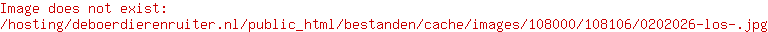 Kong Kerst Snuzzles Reindeer S