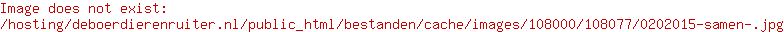 Kong Kerst Polar Bear Comfort Assorti M/L