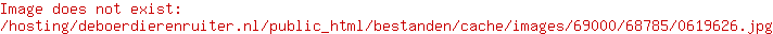 Beeztees Flatino vos 30 grijs