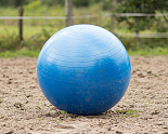 QHP Paardenvoetbal Blauw 80 - 100 cm