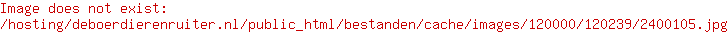 Beeztees Hondenspeelgoed Kerstlampjes