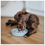 District 70 Slow Feeder Ice Blue