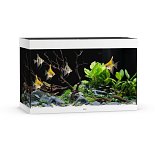 Juwel Aquarium Rio 290 LED met Filter Wit