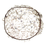 QHP haarnetje Invisible Pearl
