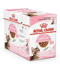 Royal Canin Kattenvoer Kitten Sterilised Gravy 12 x 85 gr