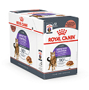 Royal Canin Kattenvoer Appetite Control Care in gravy 12 x 85 gr