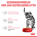 Royal Canin Kattenvoer Kitten Sterilised Jelly <br>12 x 85 gr