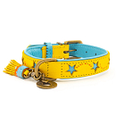 Dog with a Mission halsband Blue Star