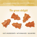 Antos O Christmas Tree