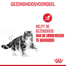 Royal Canin Kattenvoer Urinary Care in Gravy <br>12 x 85 gr
