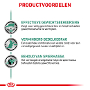 Royal Canin Kattenvoer Satiety Weight Management 12 x 85 gr