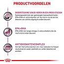 Royal Canin hondenvoer Early Renal 12 x 100 gr