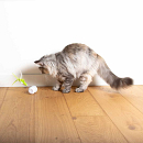 EBI Kattenspeelgoed Racing Roller