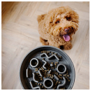 District 70 Slow Feeder Grey