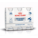 Royal Canin Recovery Liquid 3 x 200 ml