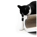 Petrebels Krabkarton Scratch 'n Rebel Bella 60 White