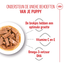 Royal Canin Hondenvoer Maxi Puppy 10 x 140 gr