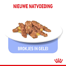 Royal Canin Kattenvoer Indoor in Jelly 12 x 85 gr