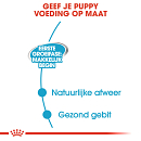 Royal Canin Hondenvoer Starter Mousse 195 gr