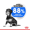 Royal Canin Hondenvoer Light Weight Care Mini 1 kg