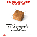 Royal Canin Kattenvoer Persian Kitten 400 gr