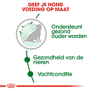 Royal Canin Hondenvoer Mini Ageing 12+ 800 Gr