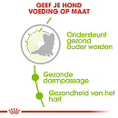 Royal Canin Hondenvoer<br> X-Small Ageing 12+<br> 500 Gr