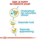 Royal Canin Hondenvoer Pug Puppy 1,5 kg