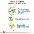 Royal Canin Hondenvoer Mini Schnauzer Puppy 1,5 kg