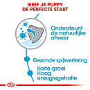 Royal Canin Hondenvoer Medium Puppy 10 kg