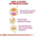 Royal Canin Kattenvoer Persian Kitten 4 kg
