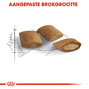 Royal Canin Kattenvoer Ageing 12+ 4 kg