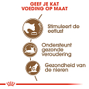 Royal Canin Kattenvoer Ageing 12+ 2 kg