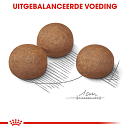 Royal Canin Hondenvoer Digestive Care Maxi 3 kg