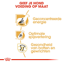 Royal Canin Hondenvoer Great Dane Adult 12 kg