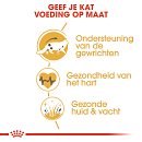 Royal Canin Kattenvoer Maine Coon Adult 4 kg