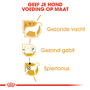 Royal Canin hondenvoer Poodle Adult 7,5 kg