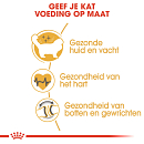 Royal Canin Kattenvoer Ragdoll Adult 10 kg