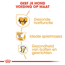 Royal Canin Hondenvoer Rottweiler Adult 12 kg