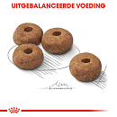 Royal Canin Hondenvoer Sterilised Medium 3 kg