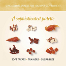 Antos Adventskalender Kat